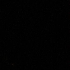 Meet your Posher, Priscila